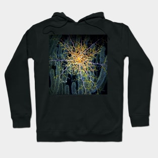 Giant Basket Sea Star on Coral Reef at Night Hoodie